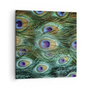 Impression sur toile - Image sur toile - Un regard de paon - 50x50 cm