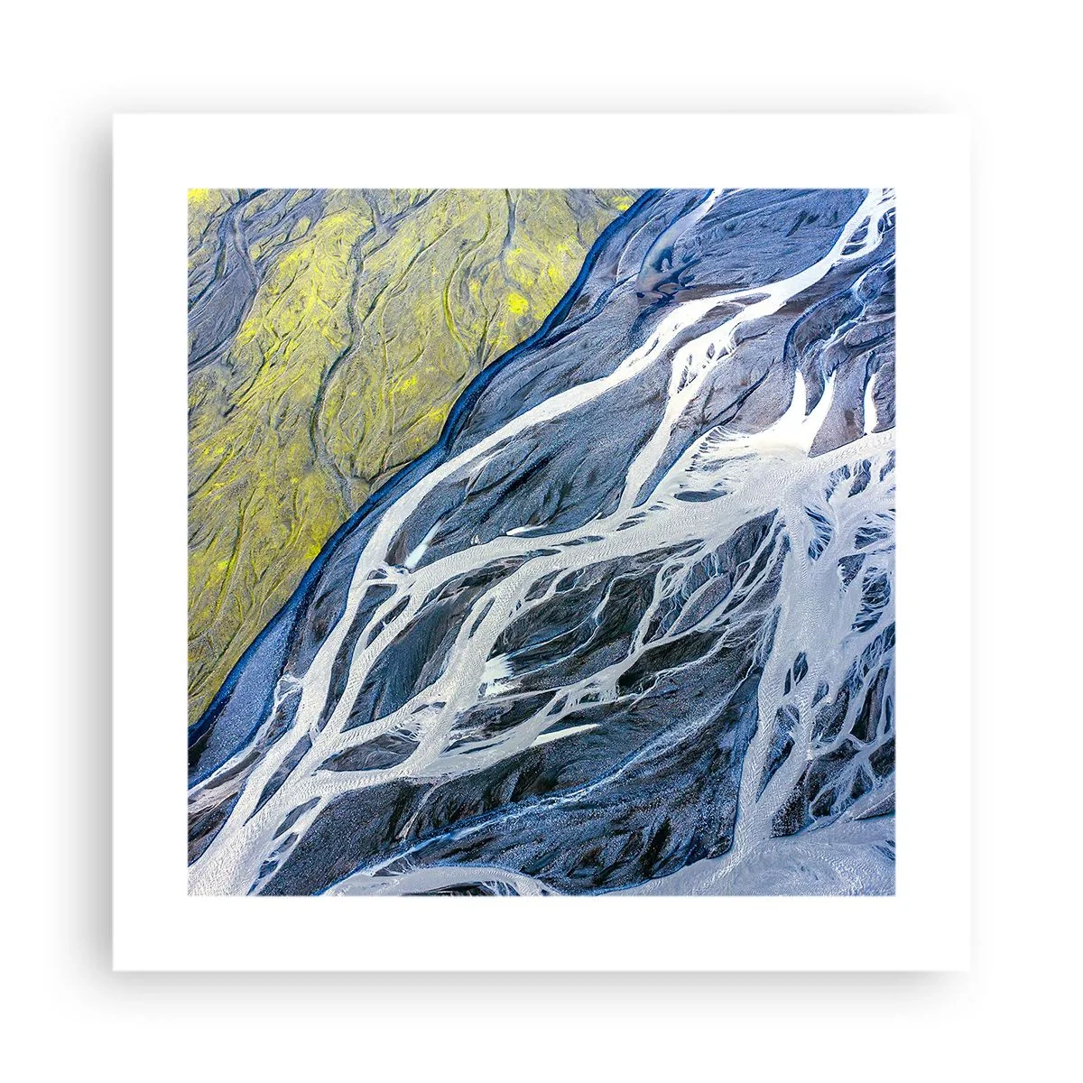 Affiche - Poster - Peintures rupestres de la nature - 40x40 cm