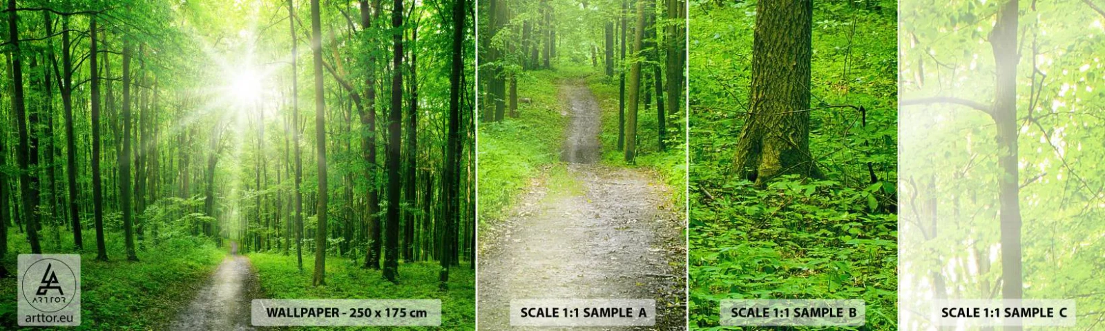 Échantillon de Papier Peint Autocollant Deluxe Sticker - Cathédrale verte - Paysage, Forêt, Rayons du soleil - 100x30 cm