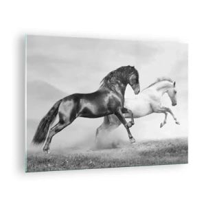 Impression sur verre - Image sur verre - Chevaux noirs et blancs dans un cadre dynamique - 70x50cm - Anges et démons - Décoration murale moderne pour le salon et la chambre ARTTOR
