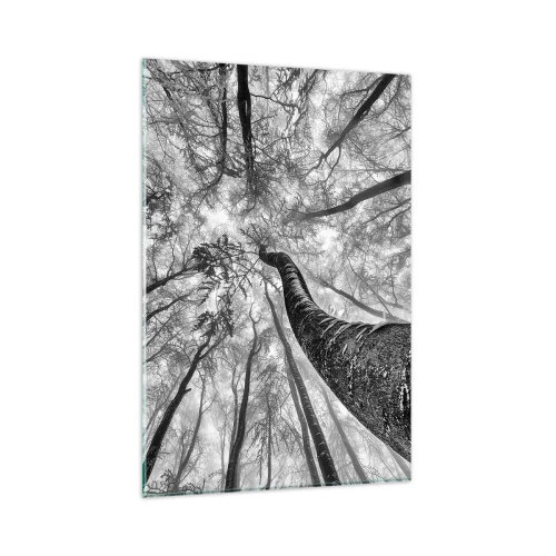 Impression sur verre - Image sur verre - Perspective d'arbres dans une forêt vue d'en bas en nuances de gris - 80x120cm - Course vers la lumière - Décoration murale moderne pour le salon et la chambre ARTTOR