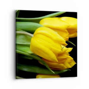 Impression sur toile - Image sur toile - Lever de soleil pur - 30x30 cm