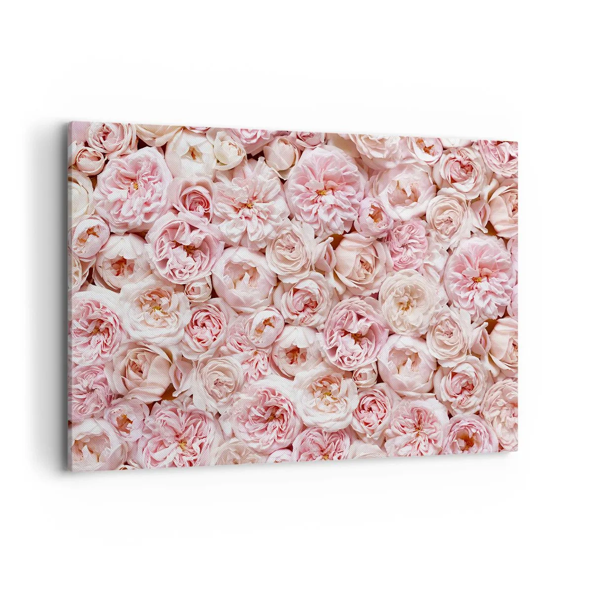 Impression sur toile - Image sur toile - Des roses délicates dans des tons de rose sur toute la surface - 120x80cm - Un lit de roses - Décoration murale moderne pour le salon et la chambre ARTTOR