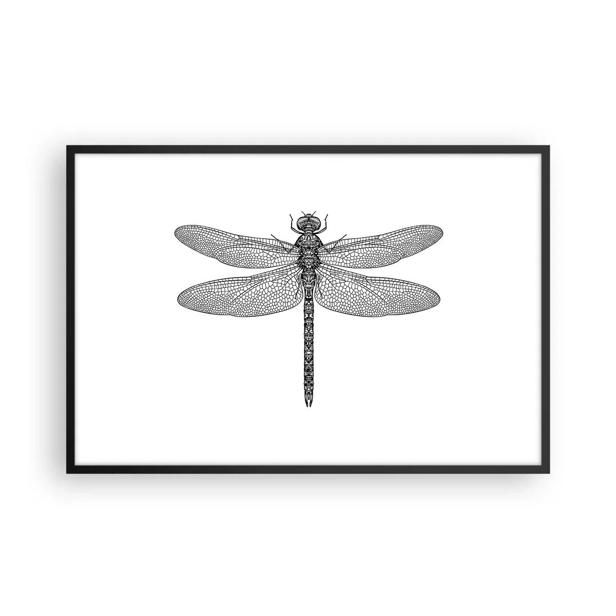 Affiche dans un cadre noir - Poster - Précision de la nature - 91x61 cm