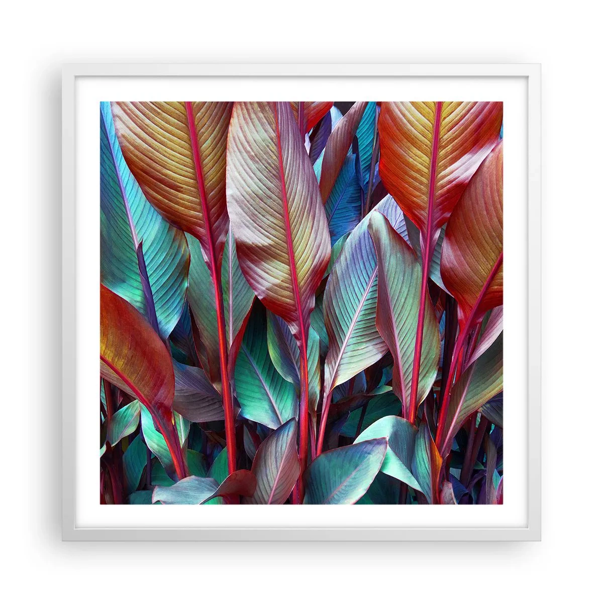 Affiche dans un cadre blanc - Poster - Un fourré coloré - 60x60 cm