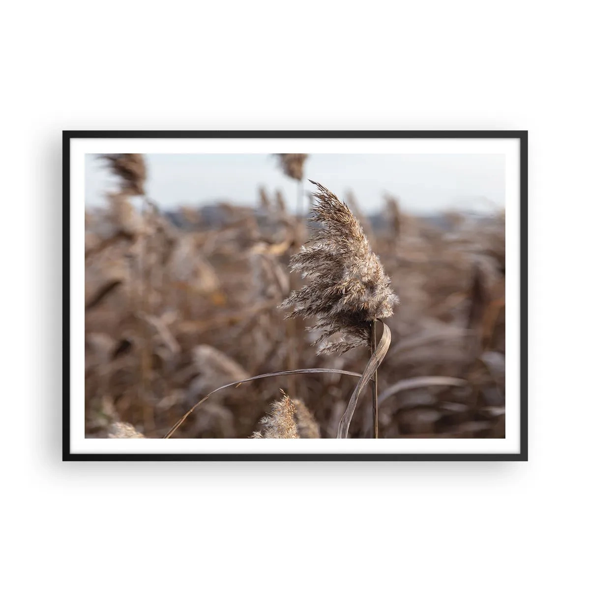 Affiche dans un cadre noir - Poster - Graminées délicates dans des tons beiges sur fond de nature - 100x70cm - Il est temps de s'envoler avec le vent - Décoration murale moderne pour le salon et la chambre ARTTOR