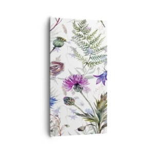Impression sur toile - Image sur toile - Herbier polonais - 65x120 cm