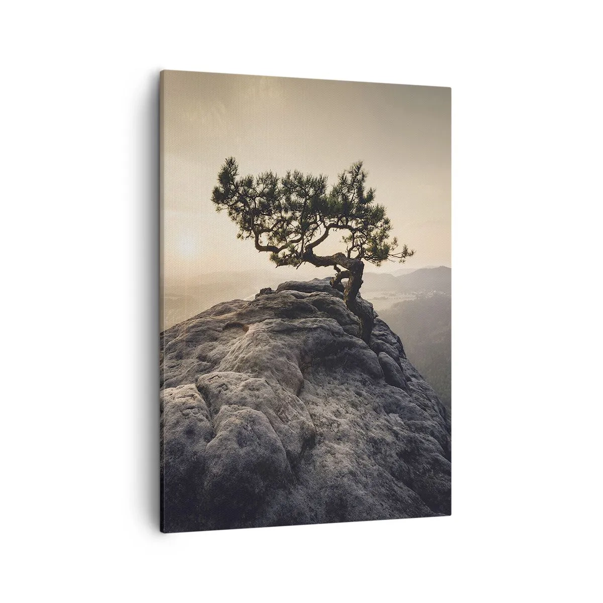 Impression sur toile - Image sur toile - Un arbre solitaire sur un pic rocheux au soleil - 50x70cm - La vie gagne toujours - Décoration murale moderne pour le salon et la chambre ARTTOR