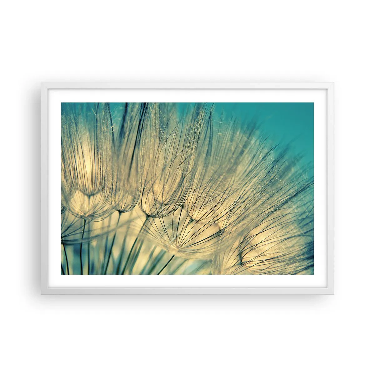 Affiche dans un cadre blanc - Poster - En attente du vent - 70x50 cm