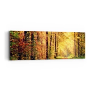 Impression sur toile - Image sur toile - Silence d'or en forêt - 90x30 cm