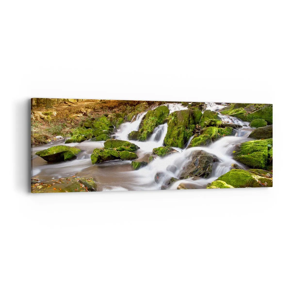 Impression sur toile - Image sur toile - Rapidement à travers la forêt d'automne - 90x30 cm