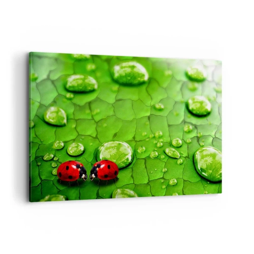 Impression sur toile - Image sur toile - Deux coccinelles sur une feuille avec des gouttes d'eau en macrophotographie - 120x80cm - Rendez-vous au vert - Décoration murale moderne pour le salon et la chambre ARTTOR