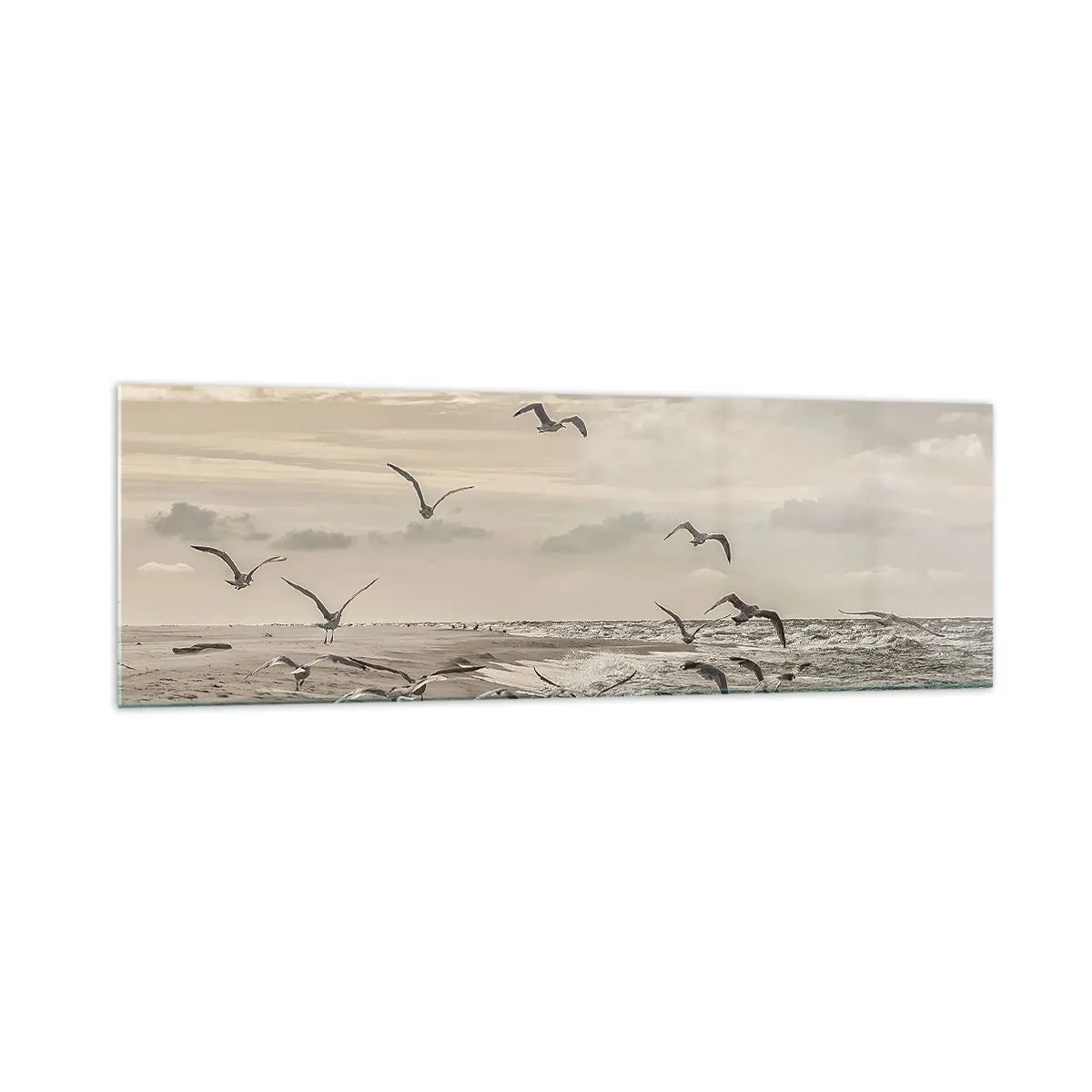 Impression sur verre - Image sur verre - Une mouette en vol au-dessus d'un paysage balnéaire - 160x50cm - Le bruit de la mer, le chant des oiseaux - Décoration murale moderne pour le salon et la chambre ARTTOR