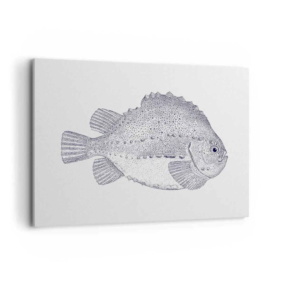 Impression sur toile - Image sur toile - Dessin noir et blanc d'un poisson sur fond blanc dans un style minimaliste - 120x80cm - Pour l'album du naturaliste - Décoration murale moderne pour le salon et la chambre ARTTOR