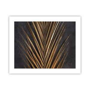 Affiche - Poster - L'or des tropiques - 50x40 cm