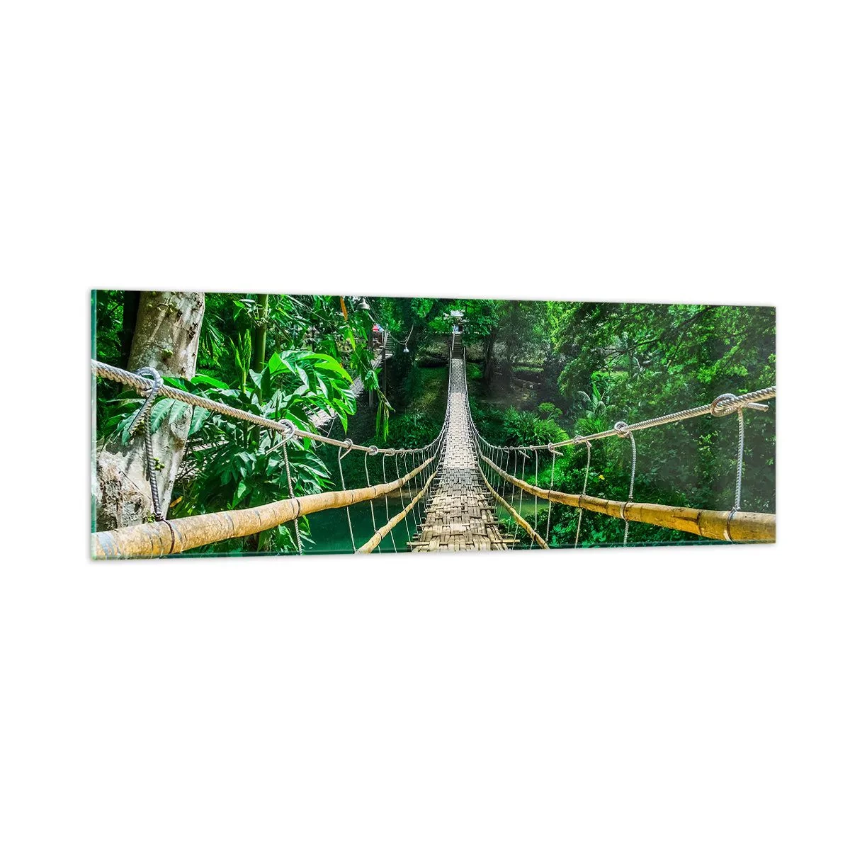 Impression sur verre - Image sur verre - Pont de singe en pleine nature - 90x30 cm