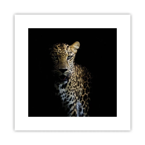 Affiche - Poster - Beauté sombre - 30x30 cm