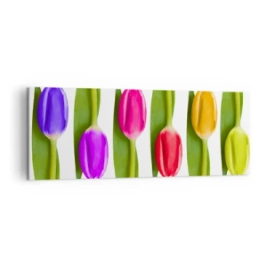 Impression sur toile - Image sur toile - Tulipes multicolores disposées en rangée sur fond blanc - 140x50cm - Composition arc-en-ciel - Décoration murale moderne pour le salon et la chambre ARTTOR