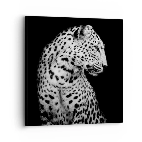 Impression sur toile - Image sur toile - Presque un profil parfait! - 30x30 cm