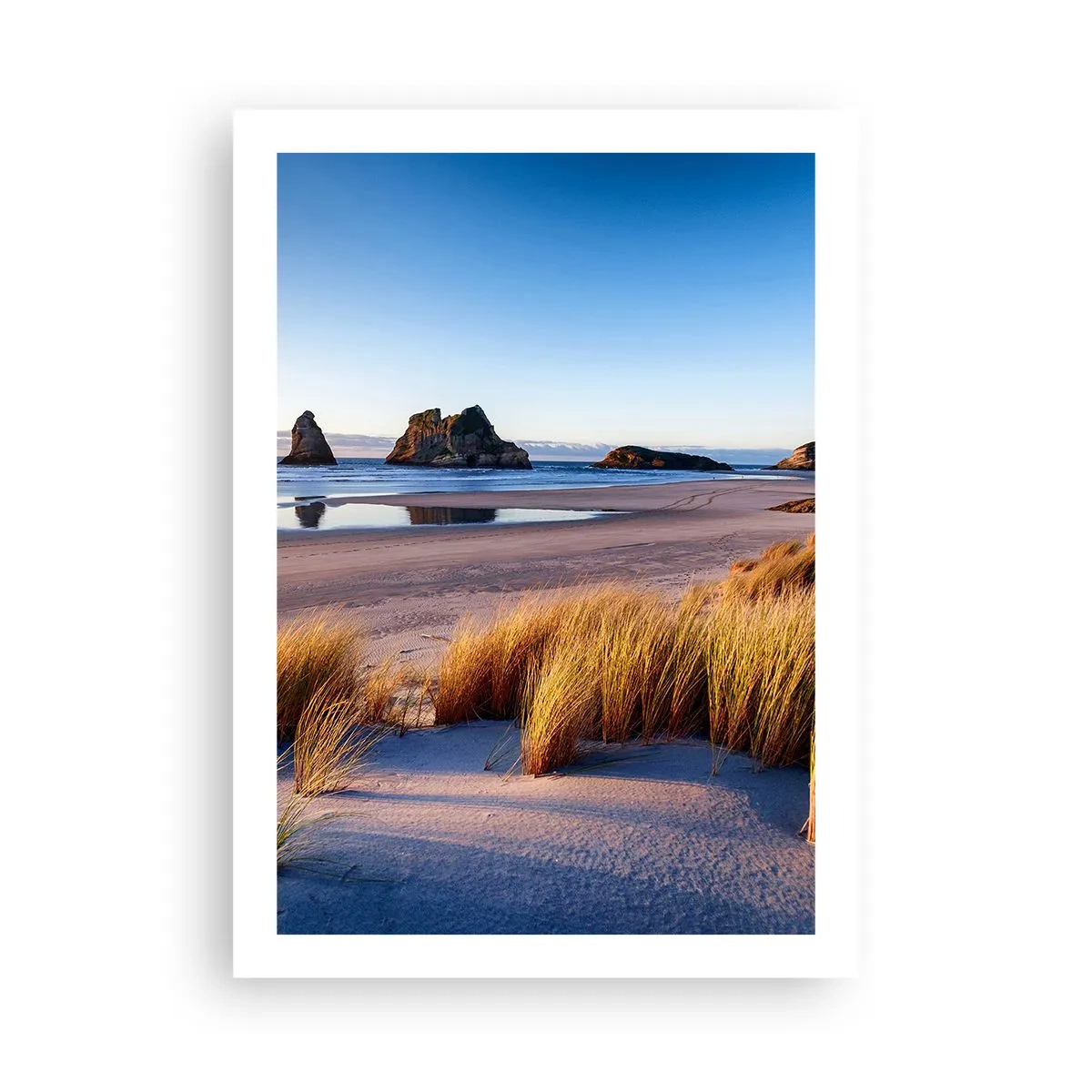 Affiche - Poster - Une plage pittoresque avec des herbes et des rochers sur fond d'océan calme - 50x70cm - Pour les chercheurs de paix - Décoration murale moderne pour le salon et la chambre ARTTOR