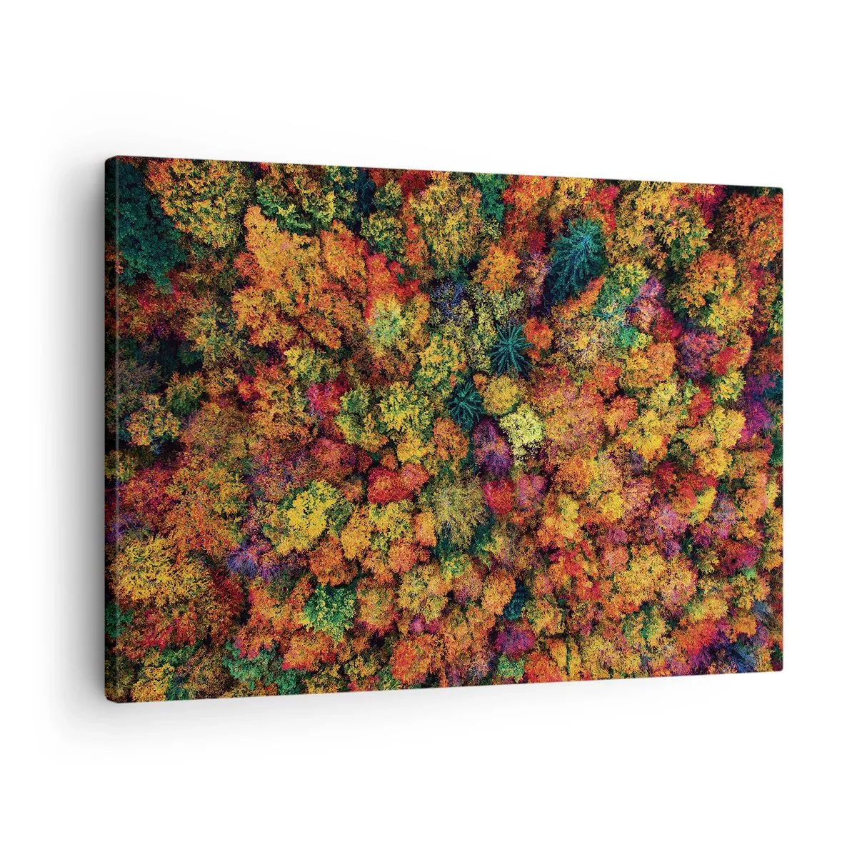 Impression sur toile - Image sur toile - Couronnes d'arbres colorées dans la palette d'automne - 70x50cm - Bouquet d'arbres automnal - Décoration murale moderne pour le salon et la chambre ARTTOR