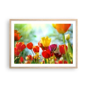 Affiche dans un chêne clair - Poster - Toutes les couleurs du soleil - 70x50 cm