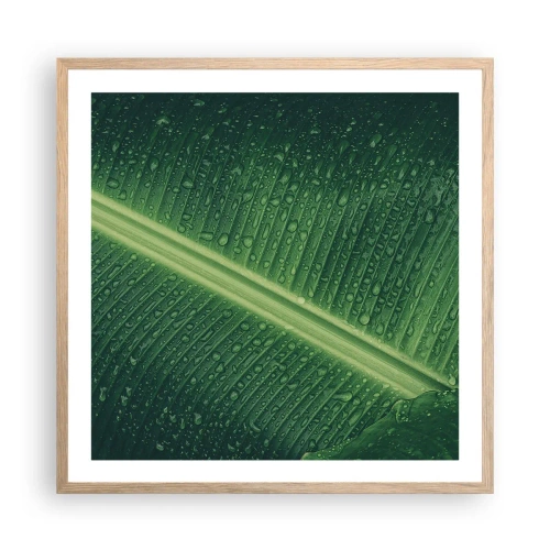 Affiche dans un chêne clair - Poster - Structure de vert - 60x60 cm