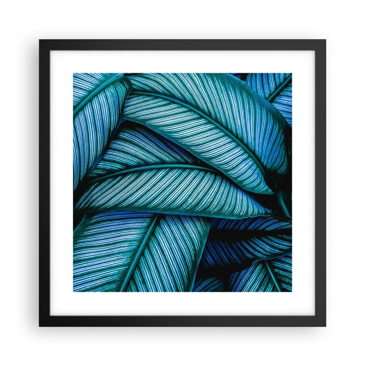 Affiche dans un cadre noir - Poster - Lignes de vie - 40x40 cm