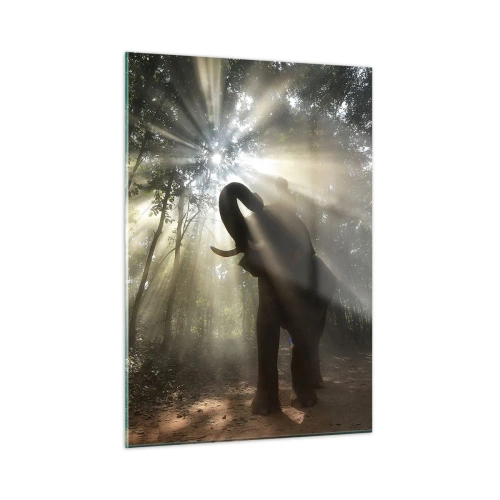 Impression sur verre - Image sur verre - Un éléphant dans une forêt éclairée par la lumière du soleil - 50x70cm - Sous la bonne étoile - Décoration murale moderne pour le salon et la chambre ARTTOR