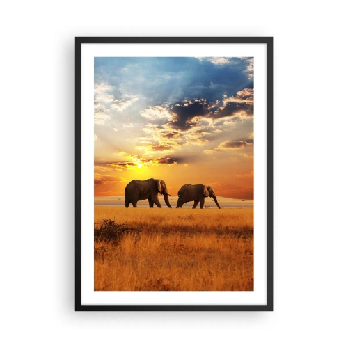 Affiche dans un cadre noir - Poster - Des éléphants marchant dans la lueur du soleil couchant - 50x70cm - Déambulation familliale - Décoration murale moderne pour le salon et la chambre ARTTOR