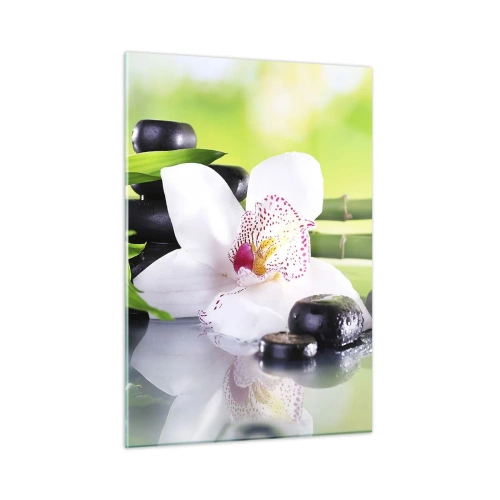 Impression sur verre - Image sur verre - Orchidée, bambou et pierres noires sur fond vert - 50x70cm - Raffraîchissement de fraîcheur - Décoration murale moderne pour le salon et la chambre ARTTOR