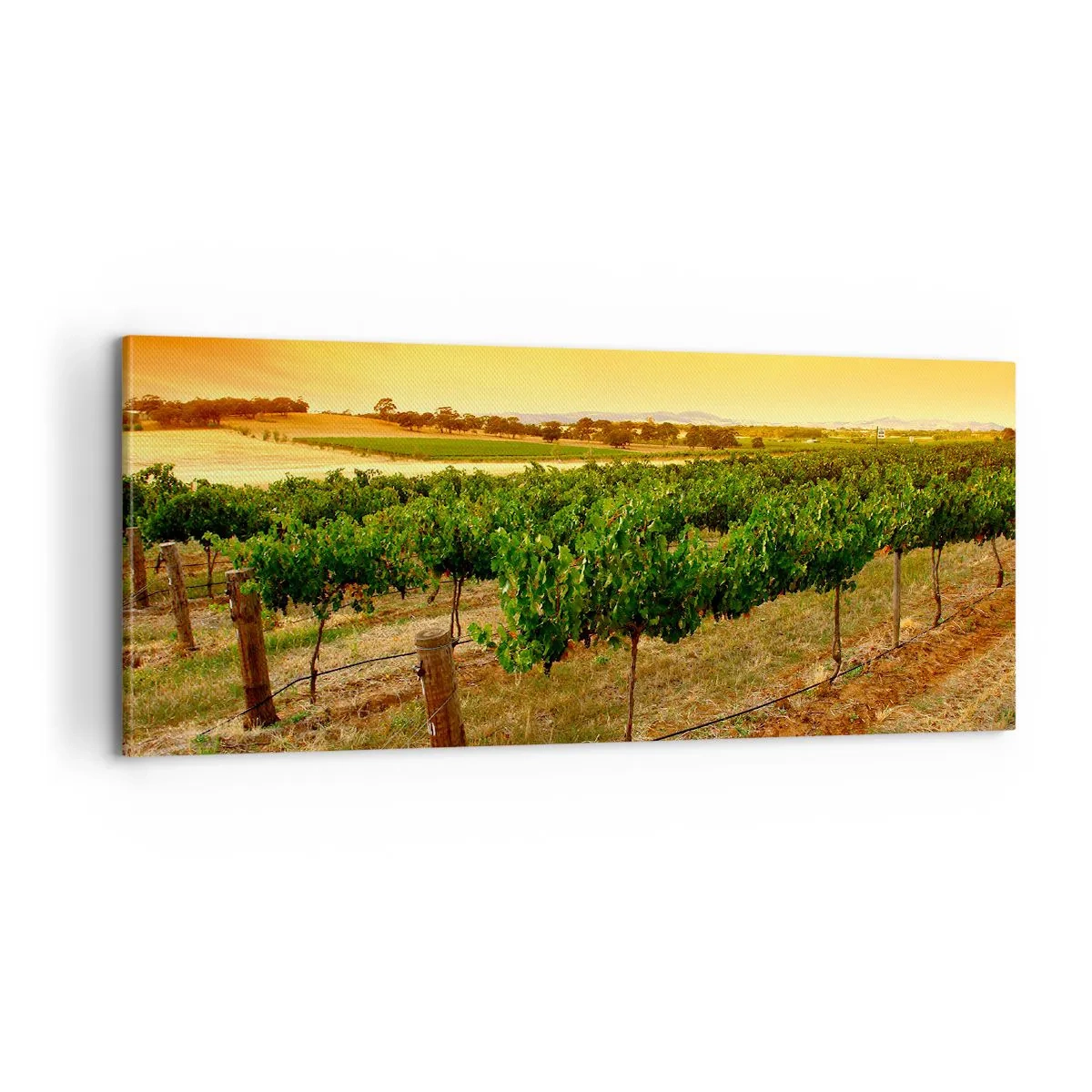 Impression sur toile - Image sur toile - S'abreuver du soleil - 100x40 cm