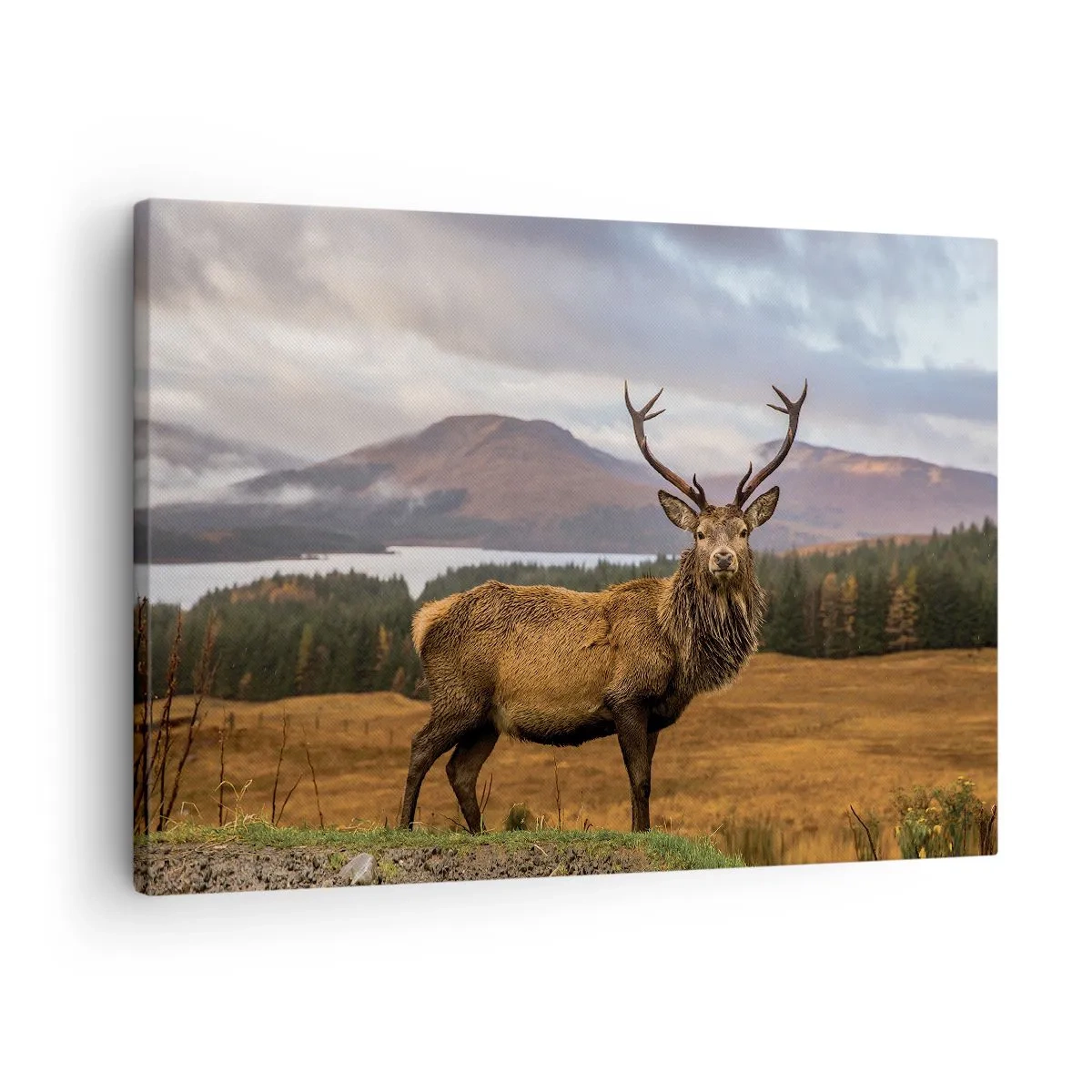 Impression sur toile - Image sur toile - Un cerf sur fond de paysage de montagne avec des lacs et des forêts - 70x50cm - Majesté de la nature - Décoration murale moderne pour le salon et la chambre ARTTOR