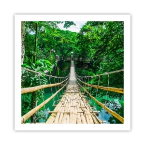 Affiche - Poster - Pont de singe en pleine nature - 60x60 cm