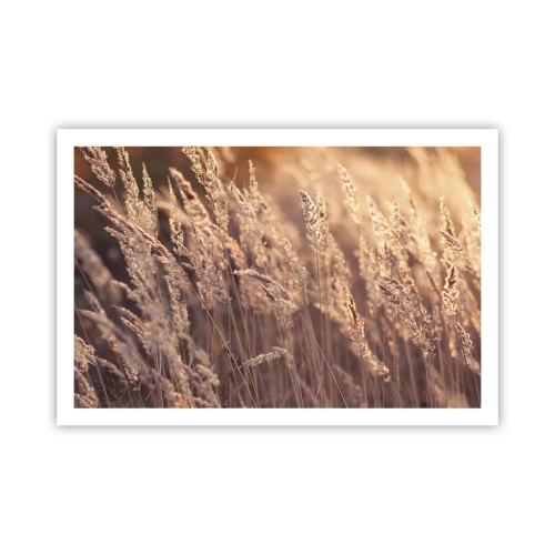 Affiche - Poster - Prêt à accueillir l'automne - 91x61 cm