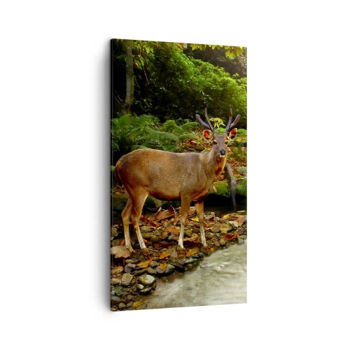 Impression sur toile - Image sur toile - Bienvenue dans mon monde - 45x80 cm