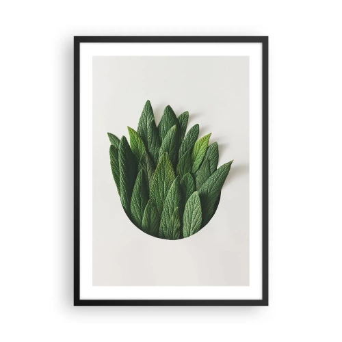 Affiche dans un cadre noir - Poster - Feuilles dans une composition artistique sur fond blanc - 50x70cm - Curiosité sans retenue - Décoration murale moderne pour le salon et la chambre ARTTOR