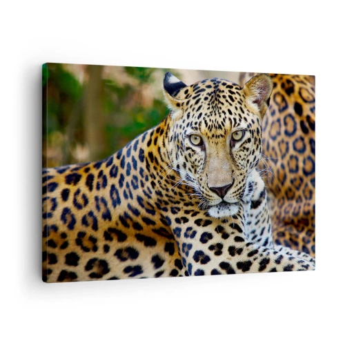 Impression sur toile - Image sur toile - Jaguar au repos dans un environnement naturel avec un fond vert. - 70x50cm - Sauvage et calme - Décoration murale moderne pour le salon et la chambre ARTTOR