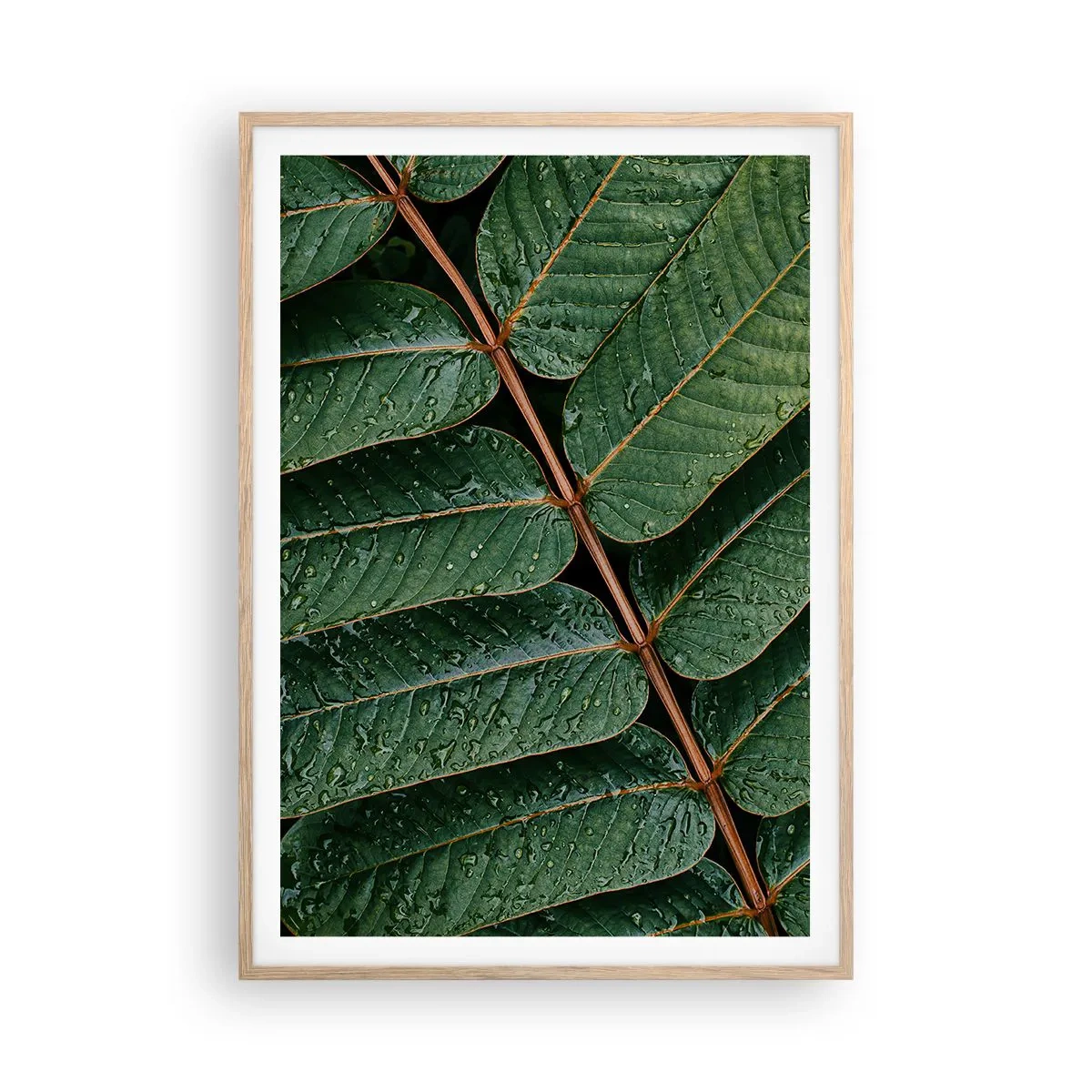 Affiche dans un chêne clair - Poster - Au rythme de la verdure - 70x100 cm