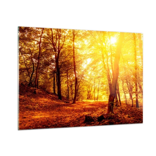 Impression sur verre - Image sur verre - Forêt d'automne illuminée par la chaude lueur du soleil - 100x70cm - Vers la clairière dorée - Décoration murale moderne pour le salon et la chambre ARTTOR