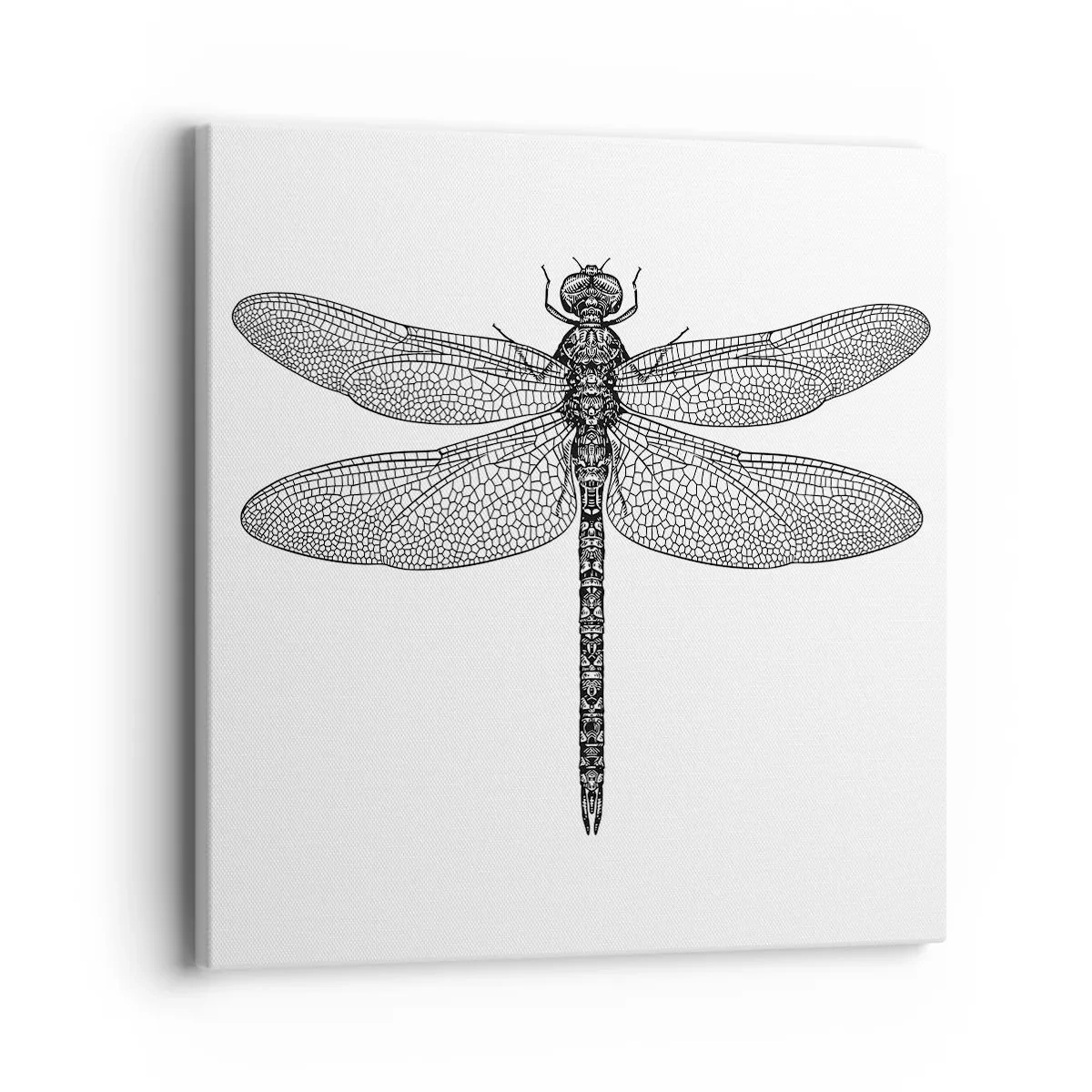 Impression sur toile - Image sur toile - Précision de la nature - 40x40 cm