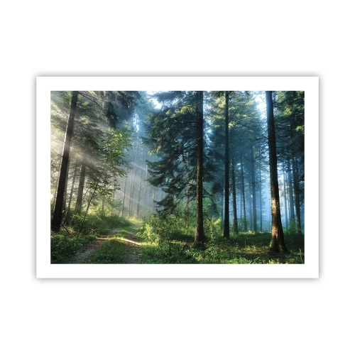 Affiche - Poster - Rayonnant le matin - 70x50 cm