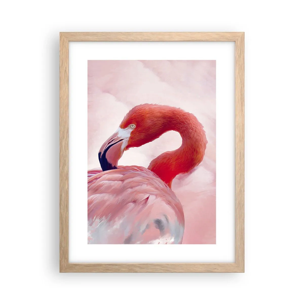 Affiche dans un chêne clair - Poster - Beauté des oiseaux - 30x40 cm
