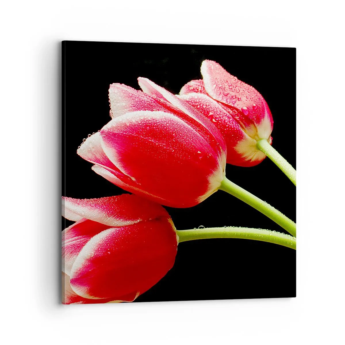 Impression sur toile - Image sur toile - Une promesse d'amour pur - 70x70 cm