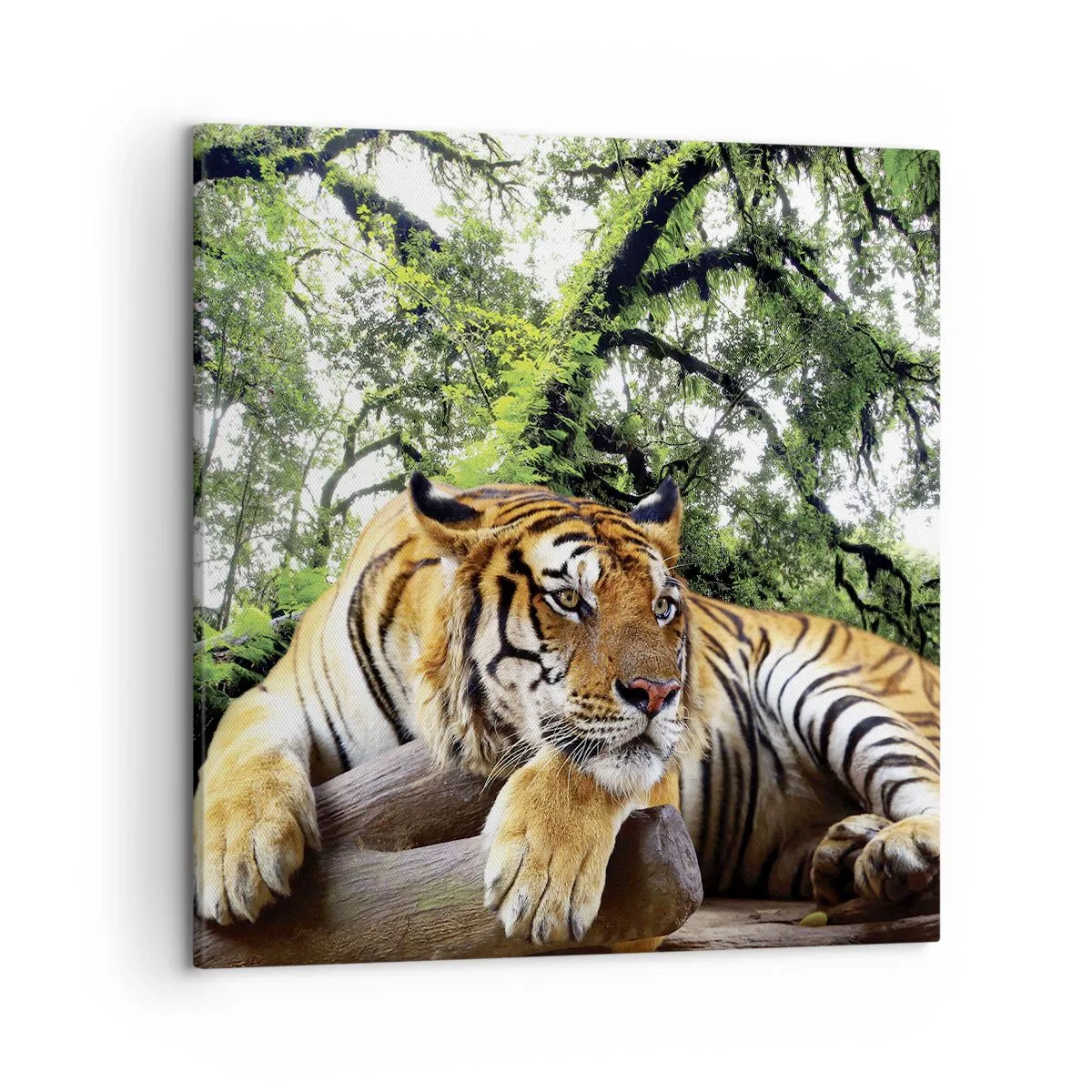 Impression sur toile - Image sur toile - Cordialement - 50x50 cm