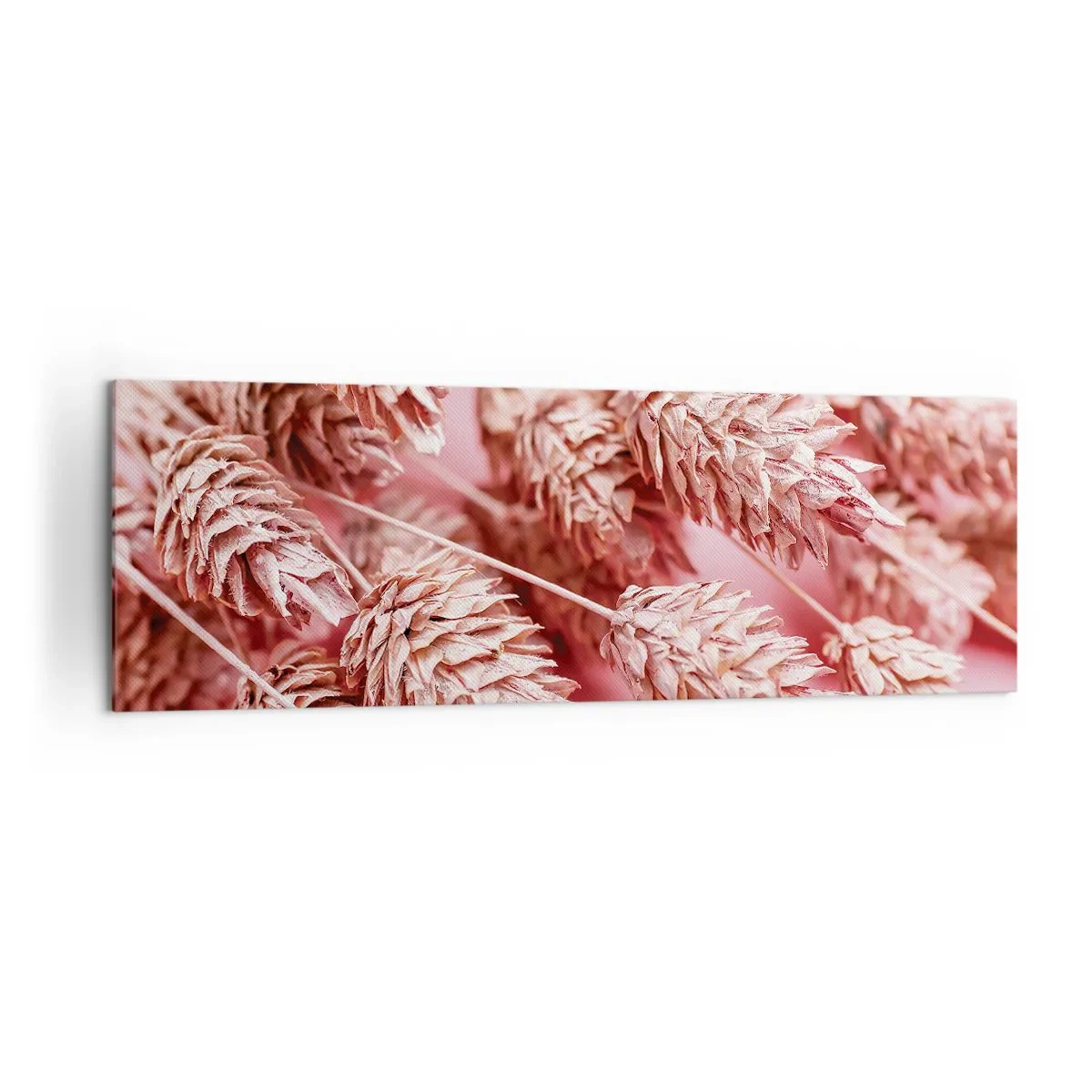 Impression sur toile - Image sur toile - Gros plan des oreilles teintées de rose - 160x50cm - Une cascade florale en rose - Décoration murale moderne pour le salon et la chambre ARTTOR