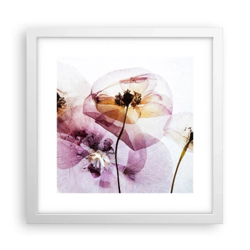 Affiche dans un cadre blanc - Poster - Corps de fleurs transparente - 30x30 cm