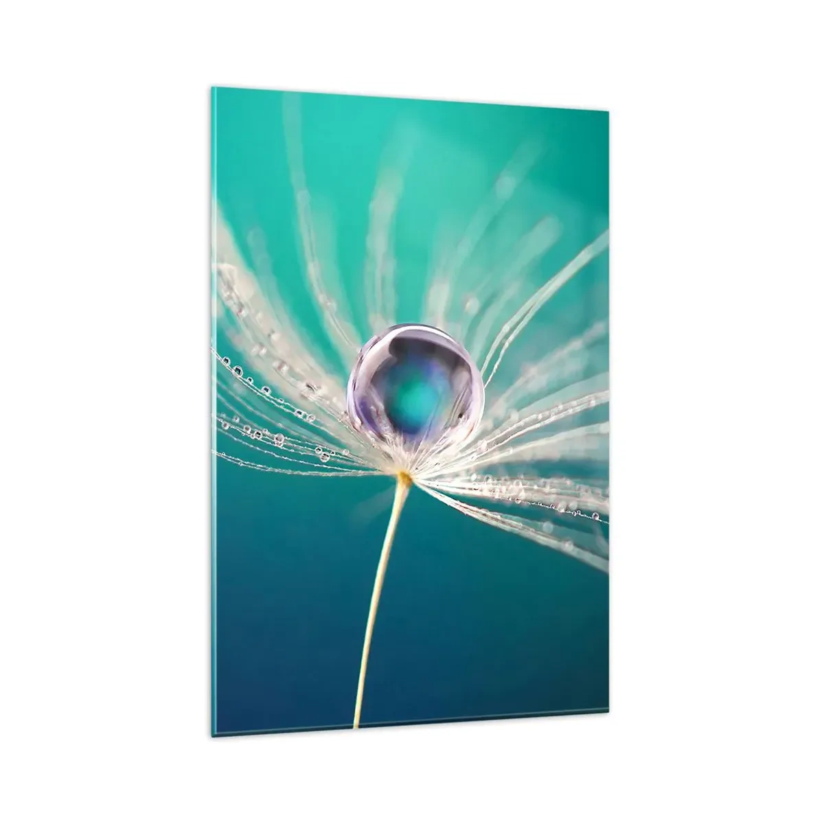Impression sur verre - Image sur verre - Macro d'une goutte d'eau sur une délicate graine de pissenlit - 80x120cm - Moment mystique - Décoration murale moderne pour le salon et la chambre ARTTOR