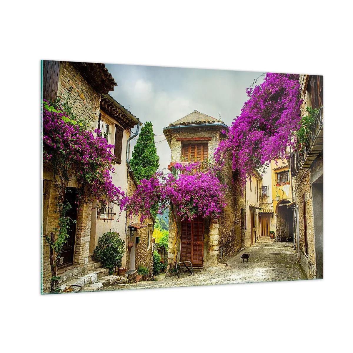 Impression sur verre - Image sur verre - Une rue charmante avec des vignes roses en fleurs et des maisons de rapport - 100x70cm - Sous un dais fleuri - Décoration murale moderne pour le salon et la chambre ARTTOR