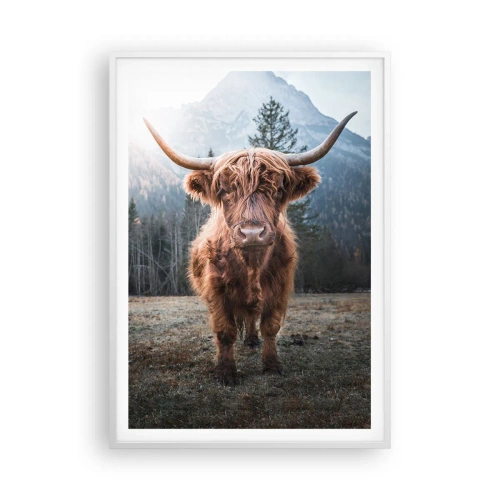 Affiche dans un cadre blanc - Poster - Salutations des prairies de montagne - 70x100 cm